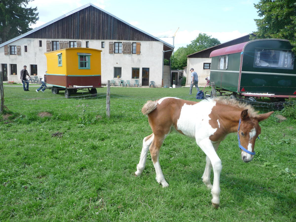 Auberge Le Sillet Longcochon Buitenkant foto