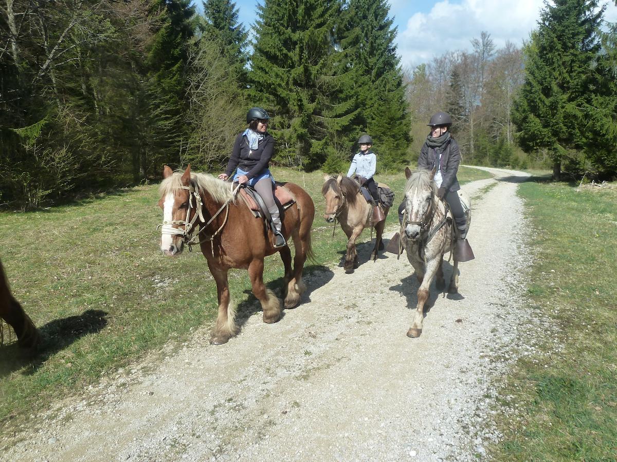 Auberge Le Sillet Longcochon Buitenkant foto